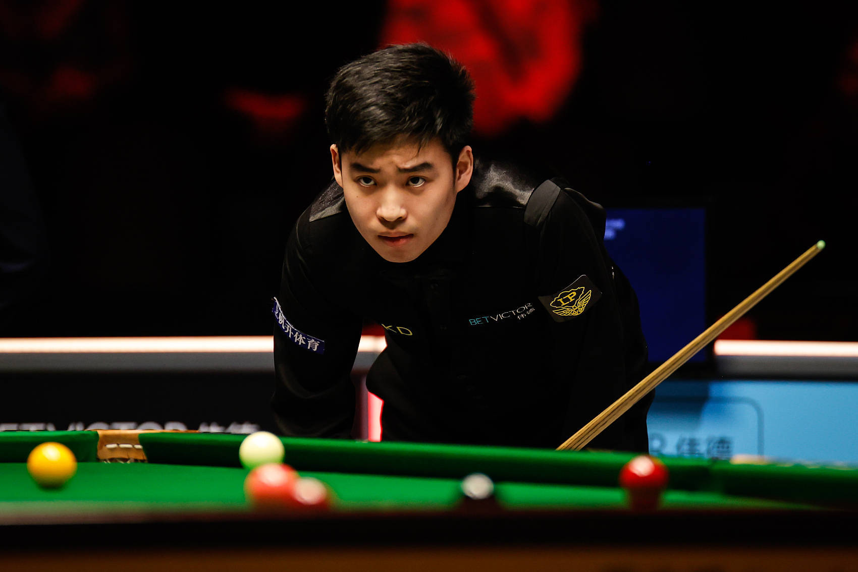 范尼与蓝狐 范尼与蓝狐