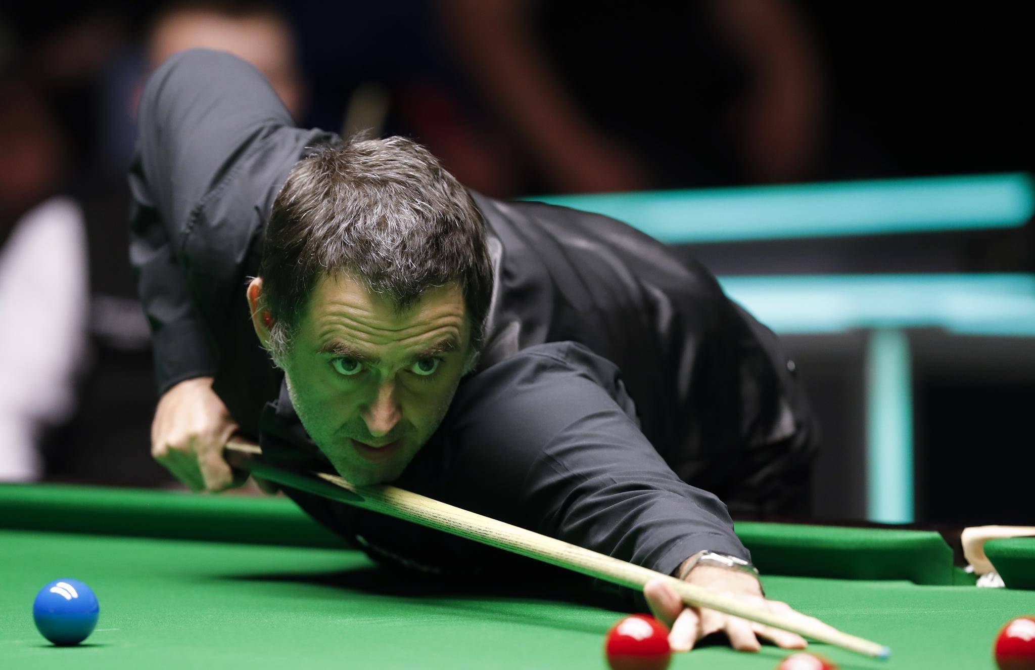 新预告里 新预告里